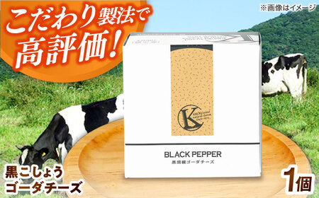 黒こしょうゴーダチーズ 1個 180g | チーズ 人気 おすすめ 乳製品 島根県雲南市/木次乳業有限会社[AIBH023]
