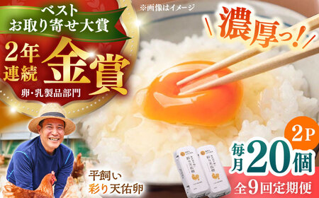 [全9回定期便]彩り天佑卵 20個入り 卵 卵 卵 卵 卵たなべたたらの里[AIDL014]