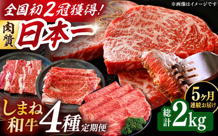 [全5回定期便]肉質日本一!しまね和牛 寄附額10万円分 計2kg 食べ比べ セット 和牛 牛肉 ステーキ 焼肉 島根県雲南市/Do corporation株式会社[AIDI017]