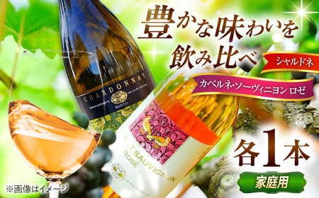 [家庭用]飲み比べセット カベルネロゼ×シャルドネ 750ml×各1本 計2本 ワイン お酒 ぶどう 島根県雲南市/有限会社奥出雲葡萄園[AICS087]
