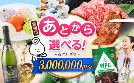 [あとから選べる]雲南市ふるさとギフト 300万円分 カタログギフト あとから寄附 あとからギフト あとからセレクト 選べる寄附 島根県雲南市/雲南市ふるさと納税[AIDM019]