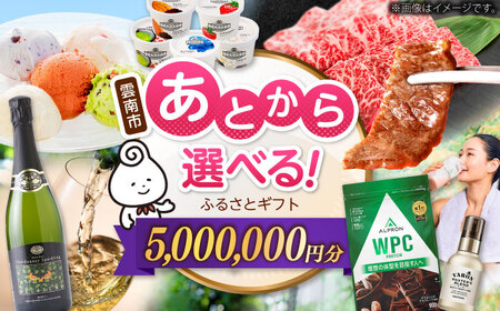 [あとから選べる]雲南市ふるさとギフト 500万円分 カタログギフト あとから寄附 あとからギフト あとからセレクト 選べる寄附 島根県雲南市/雲南市ふるさと納税[AIDM021]