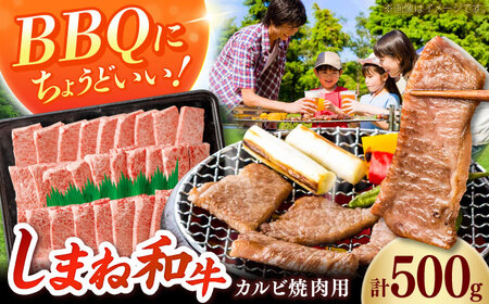 [焼肉におすすめ!]しまね和牛カルビ 500g 和牛 牛肉 焼き肉 島根県雲南市/フジキコーポーレーション株式会社[AIEA010]