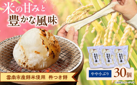 杵つき餅(丸餅)380g×3袋 [AIEG001]