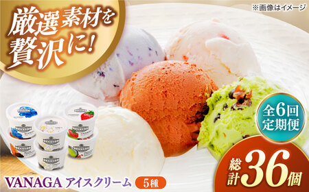 yS6ցzVANAGA 5ނ̃ACXN[6 ACX [AIBH027]