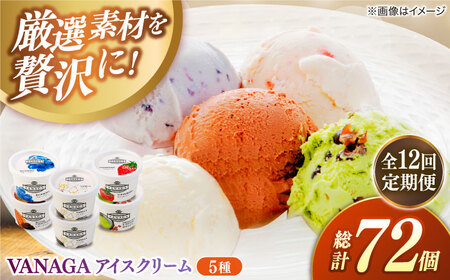 yS12ցzVANAGA 5ނ̃ACXN[6 ACX [AIBH028]