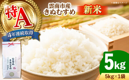 yVāz_sYʂނ 5kg _s/LГ{čX bHLO A   R 5L[AIDB099]