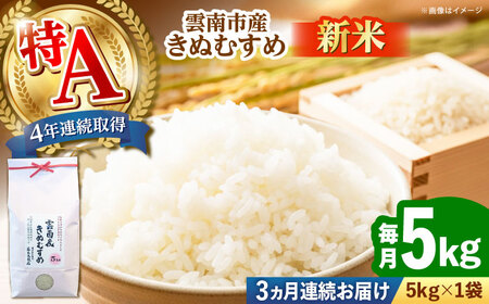 yS3ցzyVāz_sYʂނ 5kg _s/LГ{čX bHLO A   R 5L[AIDB102]