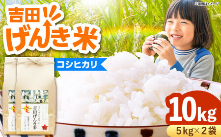 yVāzgc񂫕ăRVqJ 10kgi5kg×2܁j _s/LГ{čX bЂ   R 10L[AIDB118]