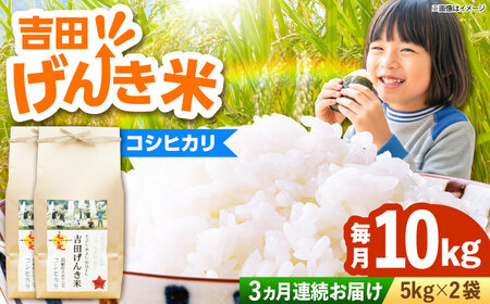 yS3ցzyVāzgc񂫕ăRVqJ 10kgi5kg×2܁j _s/LГ{čX bЂ   R 10L[AIDB121]