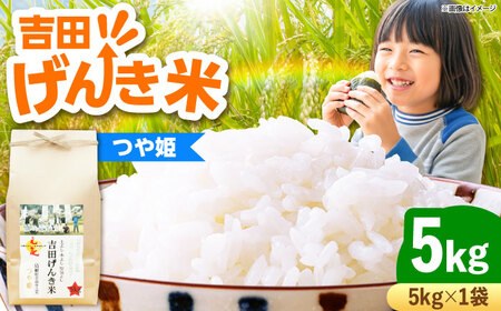 yVāzgc񂫕ĂP 5kg _s/LГ{čX bЂ   R 5L[AIDB123]