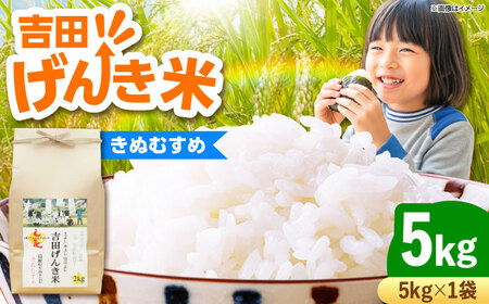 �y�V�āz�g�c���񂫕Ă��ʂނ��� 5kg �������_��s/�L����Г��{�č��X �b�u�����h�� ���ʖ� ���� ���� �R�� 5�L��[AIDB129]