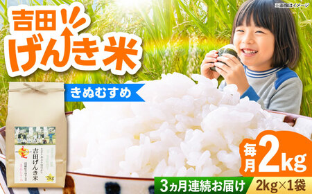 yS3ցzyVāzgc񂫕Ăʂނ 2kg _s/LГ{čX buh ʖ   R 2L[AIDB131]