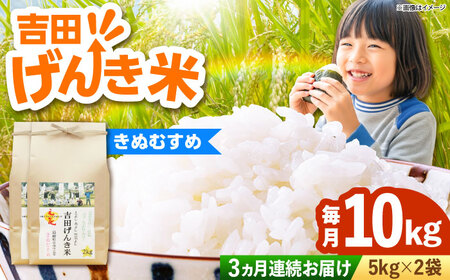 [全3回定期便][新米]吉田げんき米きぬむすめ 10kg(5kg×2袋) 島根県雲南市/有限会社藤本米穀店 |ブランド米 きぬ娘 白米 精米 コメ 10キロ[AIDB133]