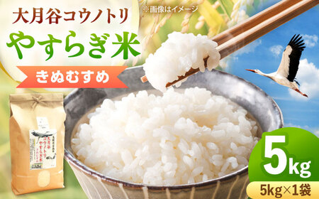 āyVāz匎JREmg₷炬 5kg [AIDB135]