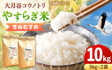 ���đ匎�J�R�E�m�g���₷�炬�� 10kg�i5kg×2�܁j[AIDB136]