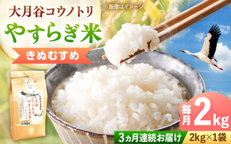 āyS3ցzyVāz匎JREmg₷炬 2kg [AIDB137]