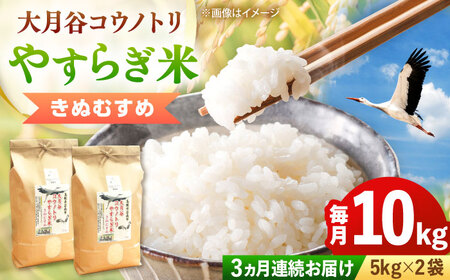 ���āy�S3�����ցz�匎�J�R�E�m�g���₷�炬�� 10kg�i5kg×2�܁j[AIDB139]