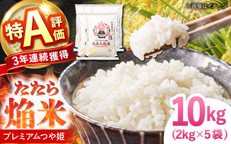 V 牋 _sv~AP 10kg(2kg×5) 2025NY [AIBR015] V