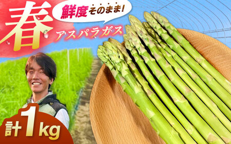 �y��s�\��z�y2026�N4���ȍ~�����z�t�A�X�p���K�X 1kg �������_��s/tasten ��� �A�X�p�� ���ʌ��� 10��[AIEJ001]