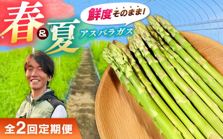 �y�S2�����ցz�y��s�\��z�y2026�N4���ȍ~�����z�t���ăA�X�p���K�X �e1kg �������_��s/tasten ��� �A�X�p�� ���ʌ��� 20��[AIEJ002]