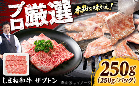 牛肉[高級部位]しまね和牛ザブトン250g [AIEF017]