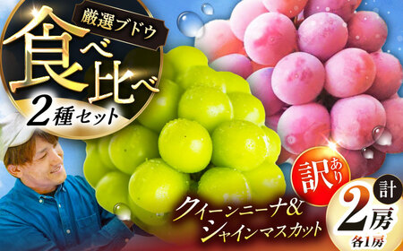 [先行予約:2026年8月中旬より発送]訳あり シャインマスカット 1房 クイーンニーナ 1房[AIAB013]