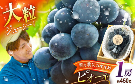 [先行予約:2026年8月中旬より発送]ピオーネ 1房 贈答用 秀品・化粧箱入り [AIAB015]