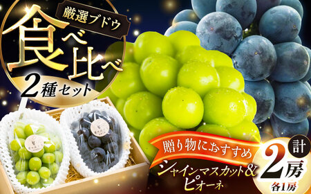 [先行予約:2026年8月中旬より発送]シャインマスカット ピオーネ 各1房 贈答用 秀品・化粧箱入り [AIAB016]