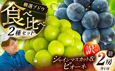 ぶどう[先行予約:2026年8月中旬より発送]訳ありシャインマスカット ピオーネ 各1房 [AIAB017]