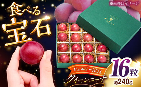 [先行予約:2026年8月中旬より発送]クイーンニーナ・ジュエリーBOX 16粒 [AIAB018]贈答 ぶどう