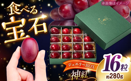 ぶどう[先行予約:2026年8月中旬より発送]島根オリジナルぶどう神紅・ジュエリーBOX 16粒 [AIAB019]贈答