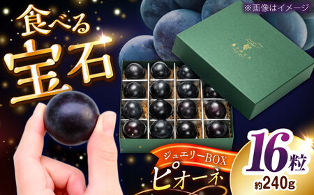 [先行予約:2026年8月下旬より発送][数量限定]贈り物におすすめ!ピオーネ・ジュエリーBOX 16粒(約240g) 島根県雲南市/ギアファーム[AIAB020]