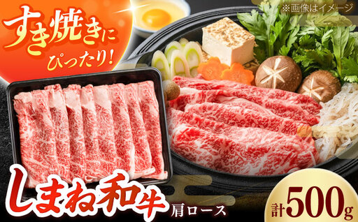 しまね和牛 肩ロース500g(スライス)和牛 牛肉 赤身 焼肉 スライス / 島根県雲南市 / フジキコーポーレーション株式会社[AIEA002]