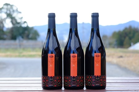 赤ワイン 奥出雲葡萄園 杜のワイン赤 赤ワイン3本セット 750ml×赤ワイン3本 辛口赤ワイン