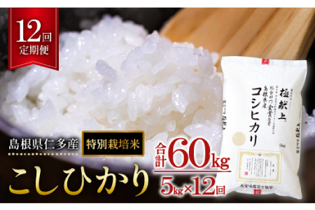 [令和7年度産先行予約]島根県仁多産コシヒカリ特別栽培米5kg定期便12回[新米 2025年度産 令和7年度産 コシヒカリ こしひかり 定期便 12回 米 お米 5kg 白米 精米 小分け 便利 特別栽培米 ブランド米]