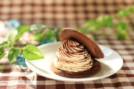 �e�B���~�X���ǂ� 6�Z�b�g�y�G�ߌ��� �\�̐��ǂ� �l�C �ǂ�₫ �a�َq �m�َq �Ⓚ�z