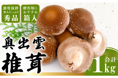 「奥出雲椎茸」秀品箱入[椎茸 生しいたけ 1kg 収穫直後 サイズ混合 新鮮 旨味たっぷり 菌床栽培 国産 きのこ キノコ 野菜 料理 食品 産地直送 自宅用]