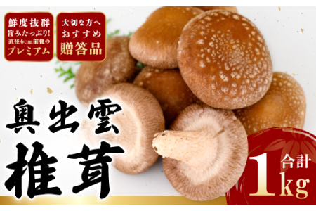 「奥出雲椎茸」プレミアム贈答品[椎茸 生しいたけ 1kg 収穫直後 サイズ混合 新鮮 旨味たっぷり 菌床栽培 国産 きのこ キノコ 野菜 料理 食品 産地直送 自宅用]