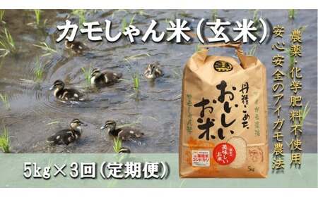 [3回定期便]令和6年度産コシヒカリ 「カモしゃん米」(玄米)5kg [ こしひかり お米 農家直送 無農薬 化学肥料不使用 精米 安心 安全 新米 令和6年度産 D-154]