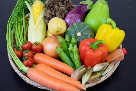 [期間限定]高原の町「飯南町」旬のお野菜セット〜いっぺんたべてみんさい♪(20セット限定)