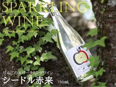 りんごのスパークリングワイン 「シードル赤来」 750ml[ワイン 炭酸 お酒 リンゴ パーティ ギフトE-1]