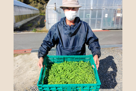 美郷農園 スナップエンドウ[スナップエンドウ 1kg 野菜 エンドウ豆 えんどう豆 おつまみ 12月〜5月発送]