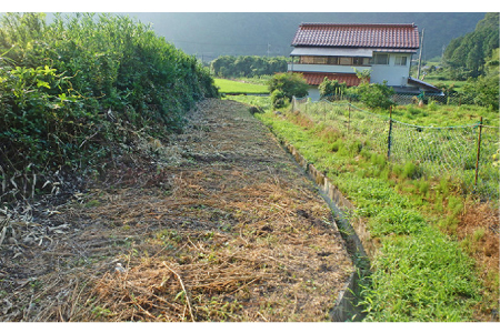 󂫉ƁE󂫒n̑@5ԃR[X