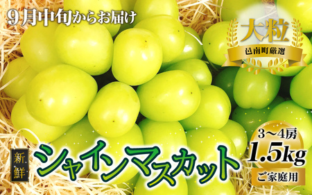 VNt[c VC}XJbg 1.5kg ʕ  ƒpy9{炨͂z