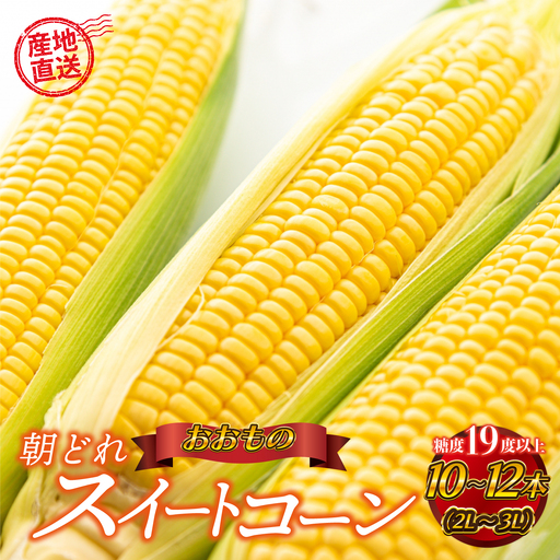 糖度19度以上朝どれスイートコーン「おおもの」10〜12本(2L〜3L)
