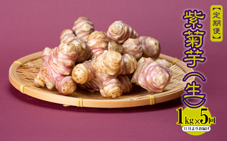 [定期便]紫菊芋(生)1kg×5回 11月よりお届け