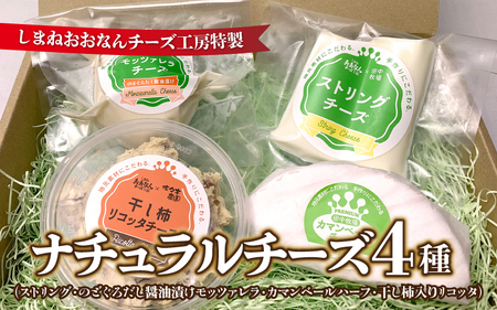 ナチュラルチーズ4種(ストリング・のどぐろだし醬油漬けモッツァレラ・カマンベールハーフ・干し柿入りリコッタ)