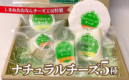 ナチュラルチーズ5種詰合せ(モッツァレラ2種・ストリング・ゴーダ・カマンベール)