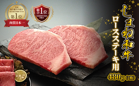 yјaz܂˘a@[XXe[Lp@480gi2j